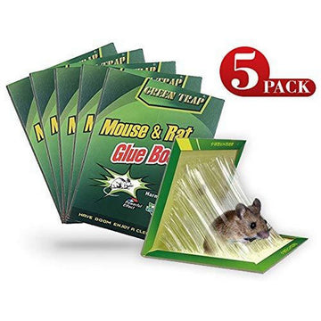 Pack of 5 - Expert Catch Mouse and Rat Glue Catch Trap - Reuseable